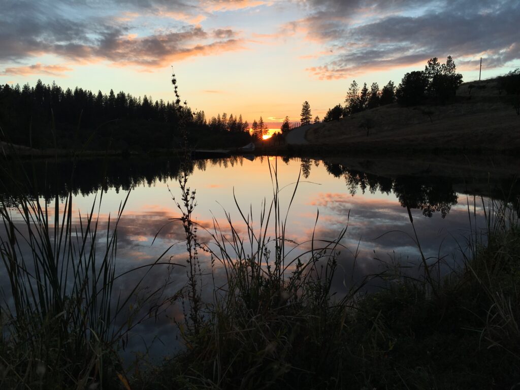 Rancho DeAlegria