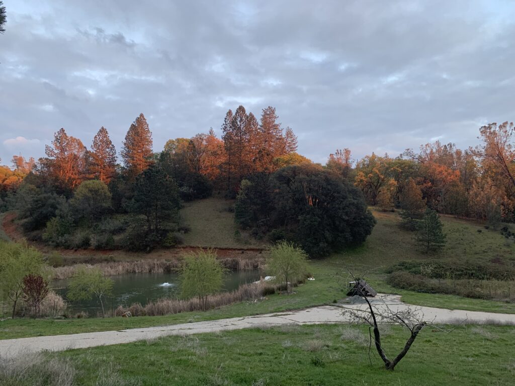 Rancho DeAlegria
