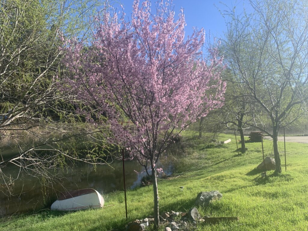 Rancho DeAlegria Rancho DeAlegria