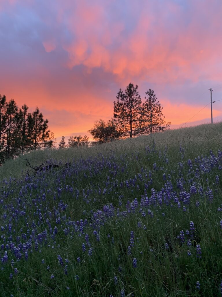 Rancho DeAlegria Rancho DeAlegria